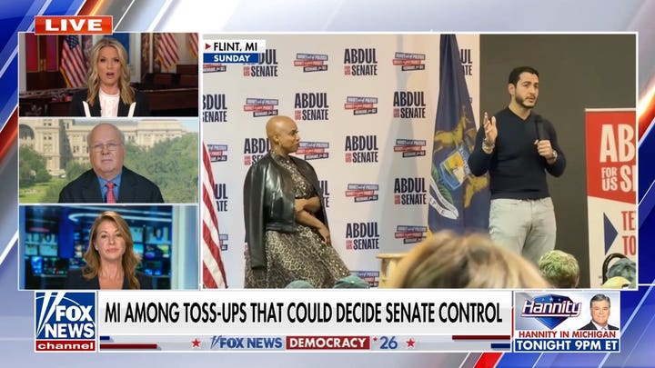 El-Sayed is ‘incredibly defensive’ over family’s alleged Muslim Brotherhood ties: Democratic strategist