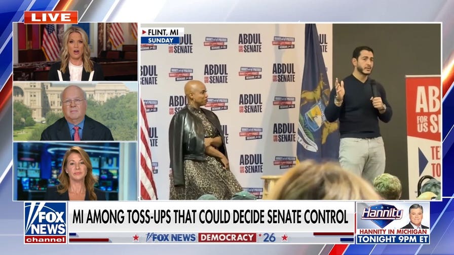 El-Sayed is ‘incredibly defensive’ over family’s alleged Muslim Brotherhood ties: Democratic strategist