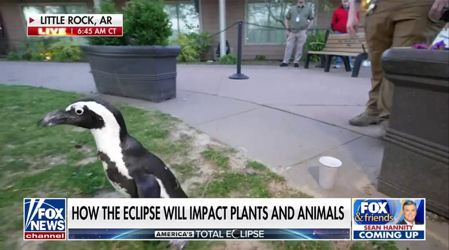 How the solar eclipse will impact plants and animals
