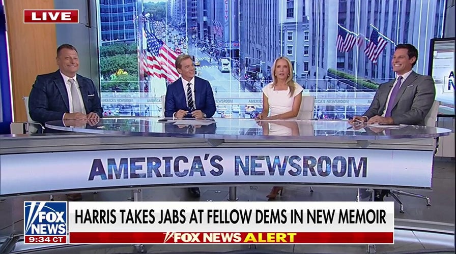 Failla: This is a 'concerning' amount of gossip against the Democrats