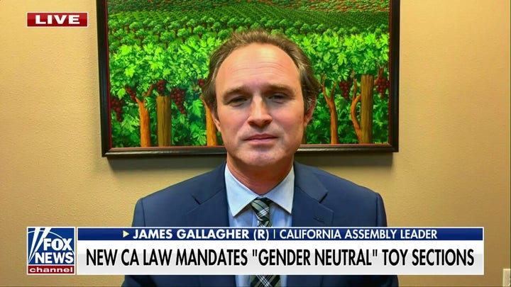 GOP assembly leader blasts California law mandating 'gender neutral' toy sections: 'Completely unnecessary'