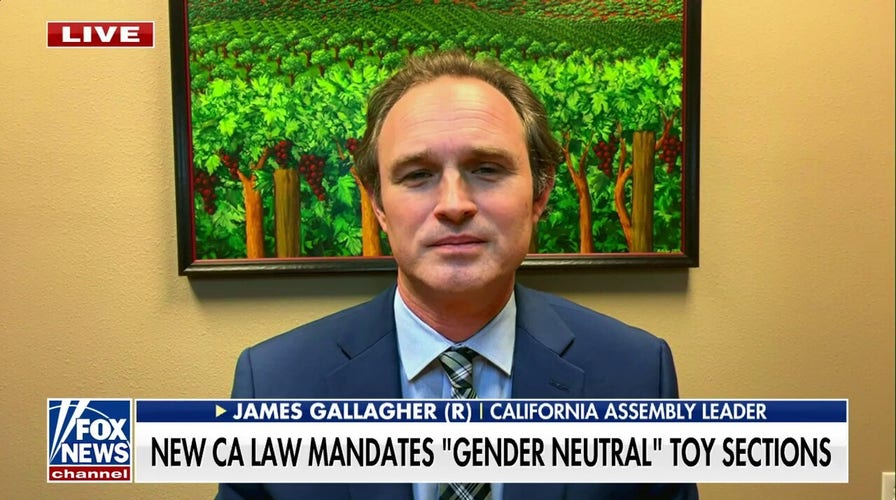 GOP assembly leader blasts California law mandating 'gender neutral' toy sections: 'Completely unnecessary'