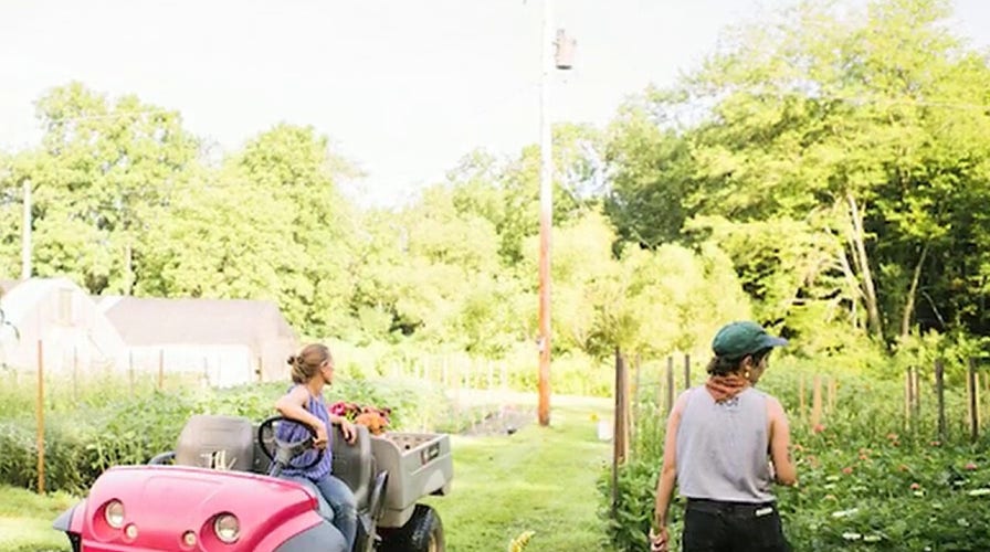 American farms feel early impact of coronavirus crisis