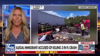 Illegal migrants charged in string of crimes