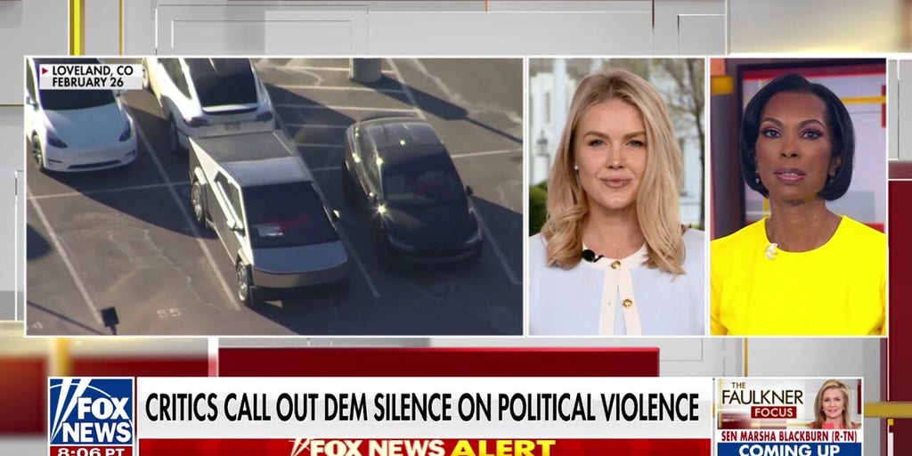 Karoline Leavitt condemns 'dangerous' attacks on Tesla: 'Domestic terrorism'