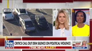 Karoline Leavitt condemns 'dangerous' attacks on Tesla: 'Domestic terrorism'