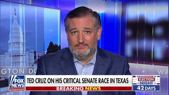 The Democratic Party has 'gone off the rails': Sen. Ted Cruz