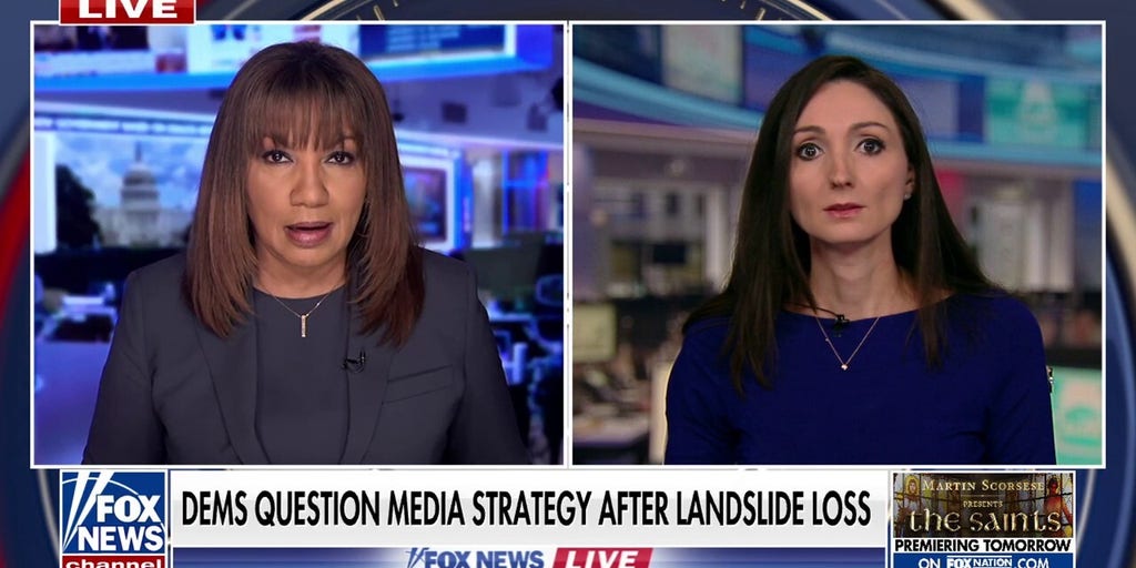 Democrats struggle with what went wrong in 2024 election