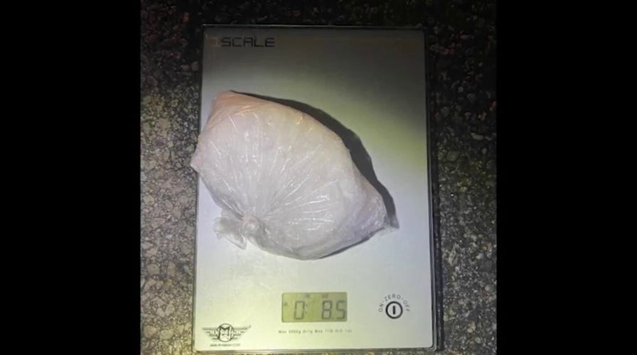 Florida man drops half a pound of meth under patrol car during traffic stop