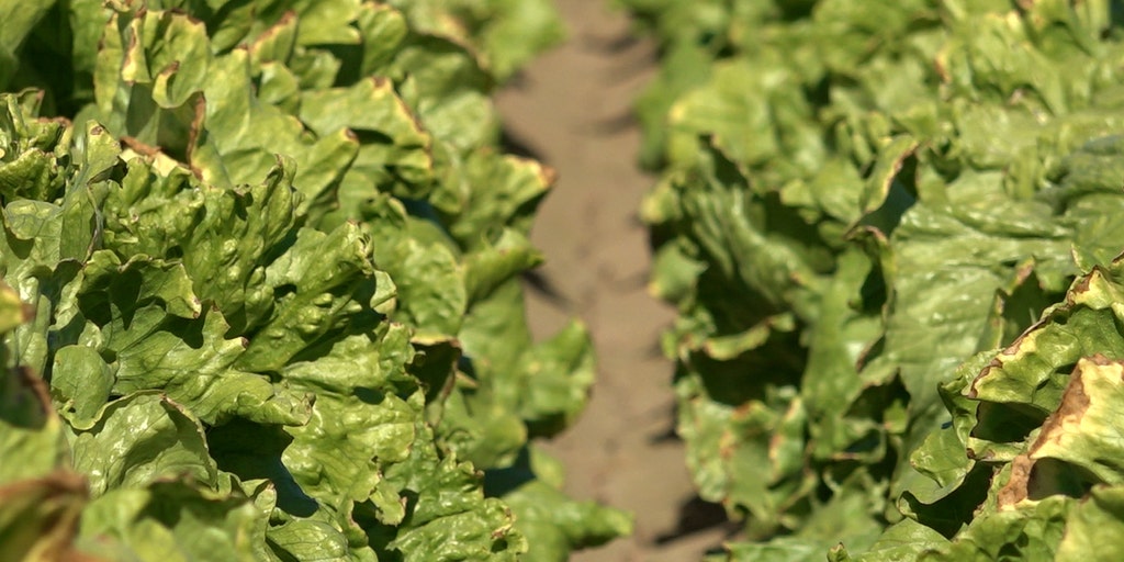 Feds take over future Colorado River plans