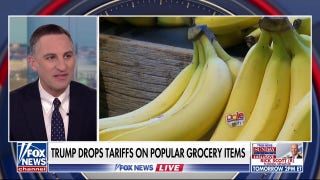 Political expert predicts grocery items ‘will get cheaper’ after Trump drops major tariffs - Fox News