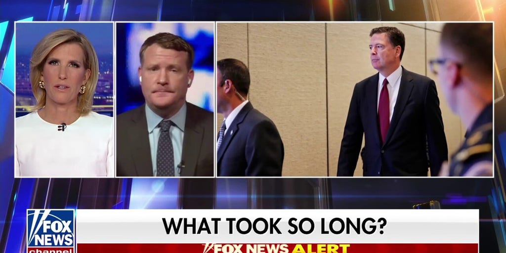 They tried to 'sabotage' Trump's presidency: Mike Davis