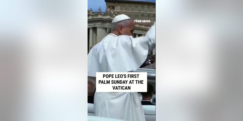 Pope Leo's first Palm Sunday at the Vatican
