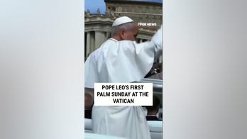 Pope Leo's first Palm Sunday at the Vatican