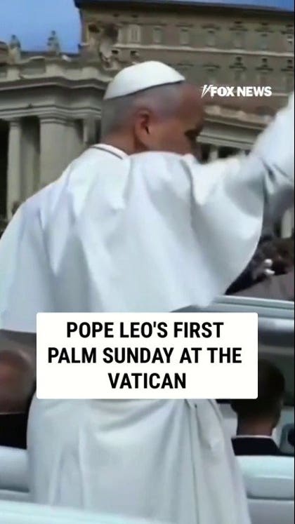 Pope Leo's first Palm Sunday at the Vatican