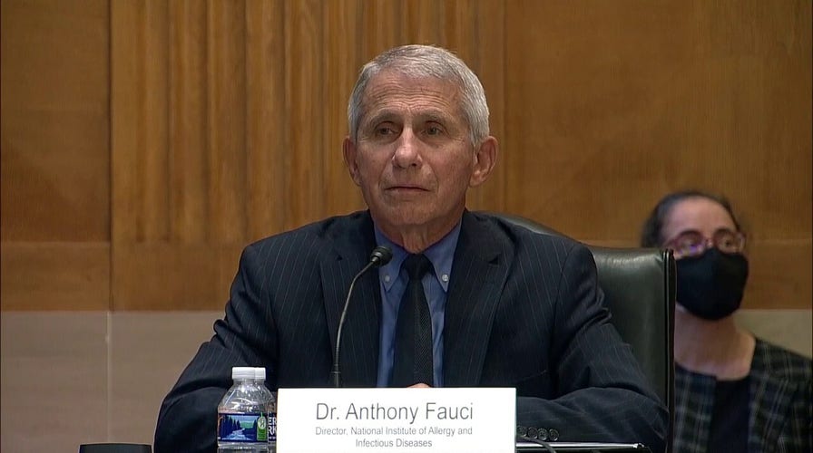 Sen. Kennedy grills Dr. Fauci on Wuhan lab funding, origins of COVID-19