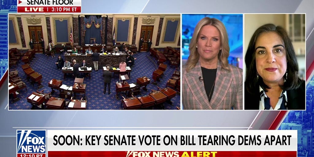 GOP lawmaker says it’s time for ‘new leadership’ in the Senate as Schumer faces backlash