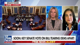 GOP lawmaker says it’s time for ‘new leadership’ in the Senate as Schumer faces backlash - Fox News
