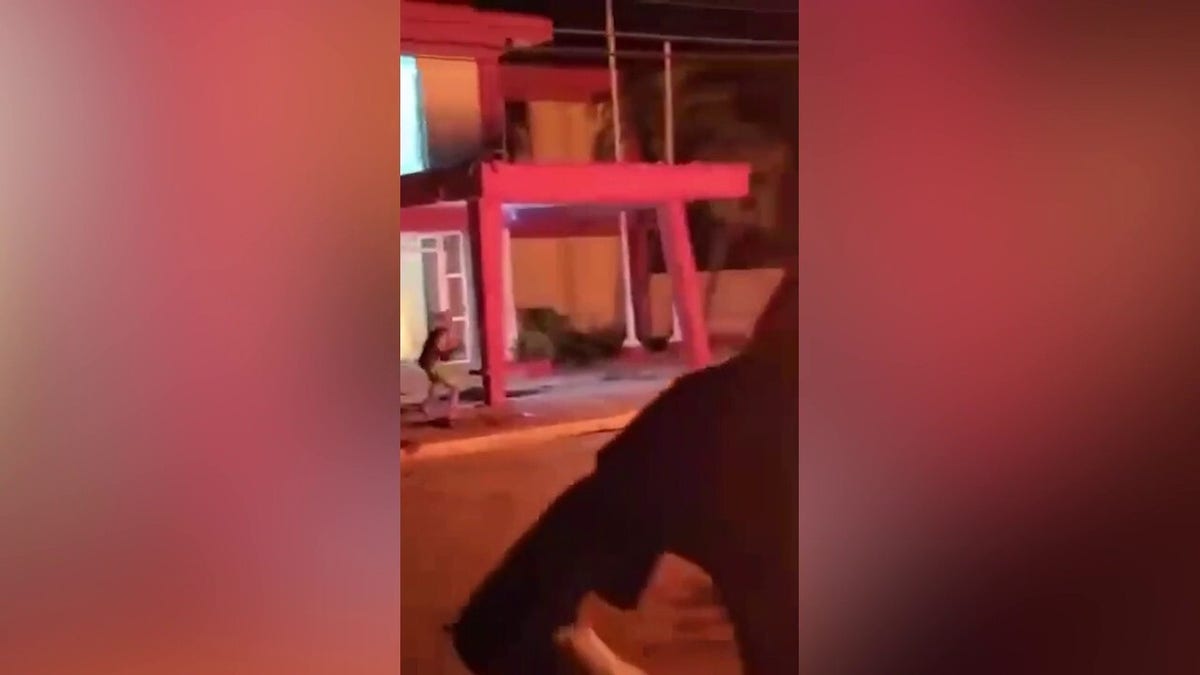 foxnews.com - Michael Dorgan - Protesters torch Communist Party HQ in Cuba as video appears to capture gunfire