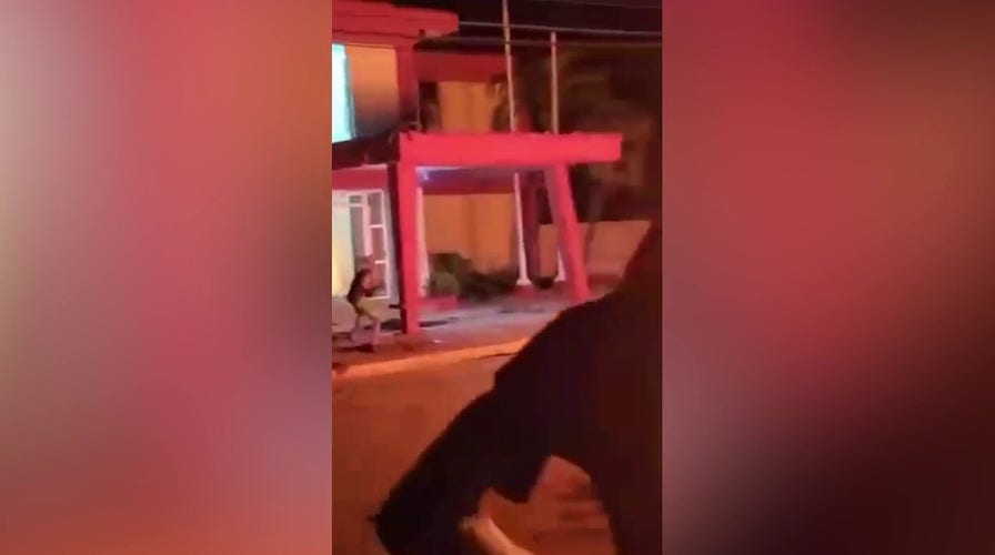 Protesters effort  to torch Communist Party office  successful  Cuba