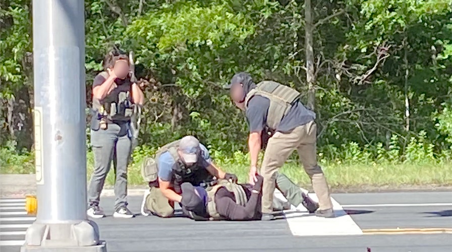 ICE agent injured in hit-and-run