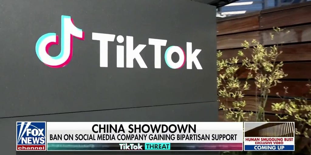 TikTok Pushes Back While It Braces For More State And National Bans ...