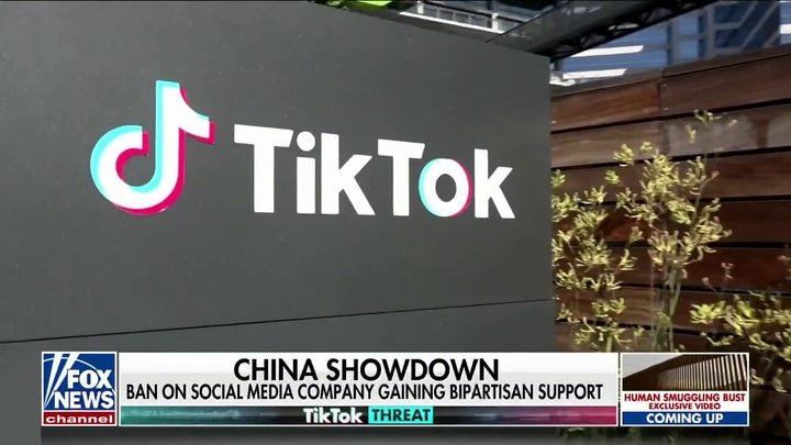 TikTok pushes back while it braces for more state and national bans