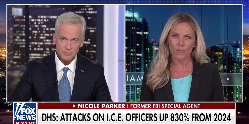 Ex-FBI special agent slams attacks on ICE agents: 'It's completely disgusting and reprehensible'