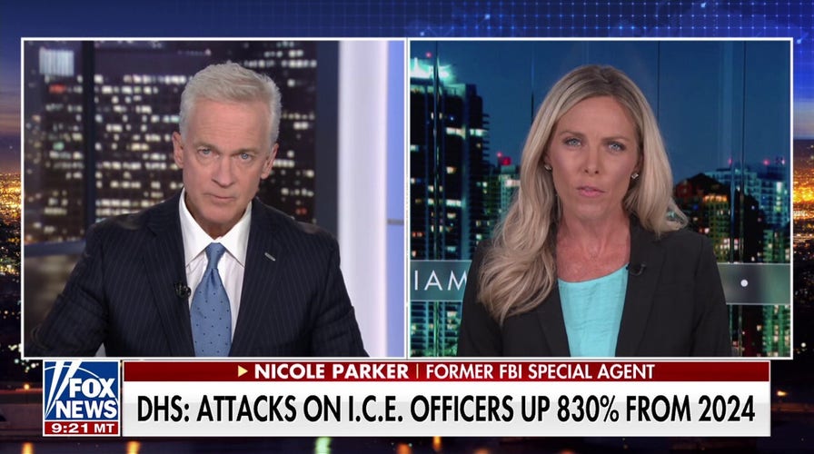 Ex-FBI special agent slams attacks on ICE agents: 'It's completely disgusting and reprehensible'