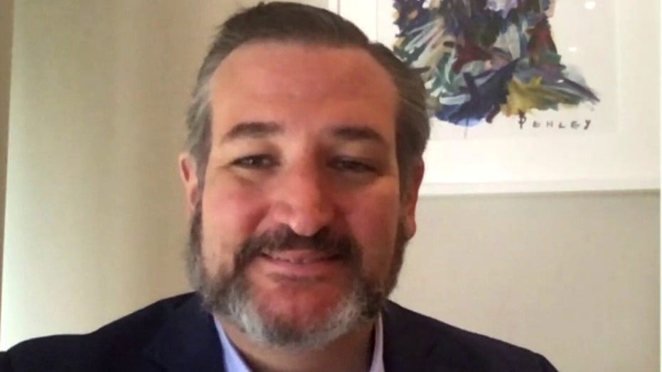 Sen Ted Cruz Asks Cnn To Stop Rooting For President Trump To Die From Coronavirus Fox News
