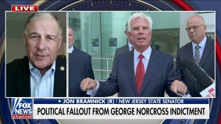 'Soprano State': Jon Bramnick says NJ residents have 'had enough' amid corruption and 'bad policy' - Fox News