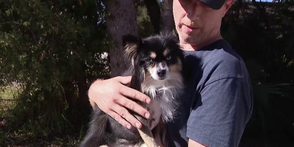 Florida man attacked by bear while trying to save his dog