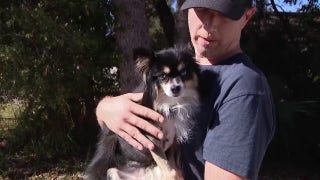 Florida man attacked by bear while trying to save his dog - Fox News