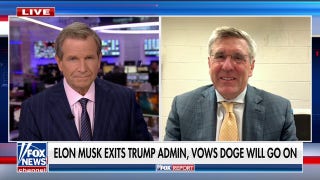 Steve Moore hopes DOGE becomes a ‘permanent,’ ‘bipartisan’ staple of the swamp