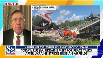 Ukraine's drone strike is a 'great strategic benefit' to the US, John Herbst says