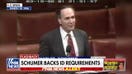 Senator Schumer's past support for ID checks draws scrutiny