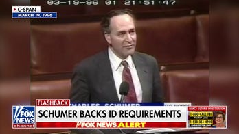 Senator Schumer's past support for ID checks draws scrutiny