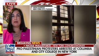 Rep. Malliotakis urges Congress to take action to 'crack down' on anti-Israel protests - Fox News
