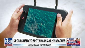 NY uses drones to spot sharks