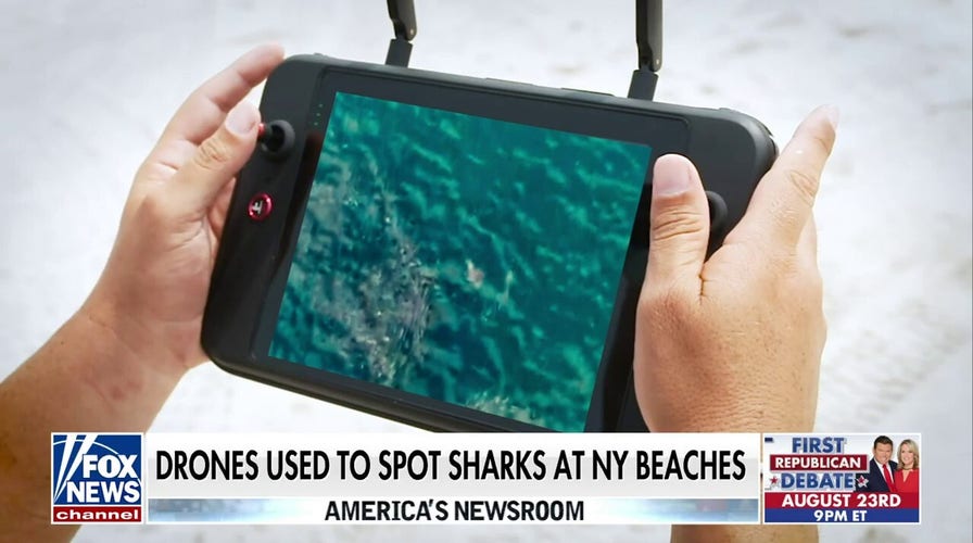 NY uses drones to spot sharks
