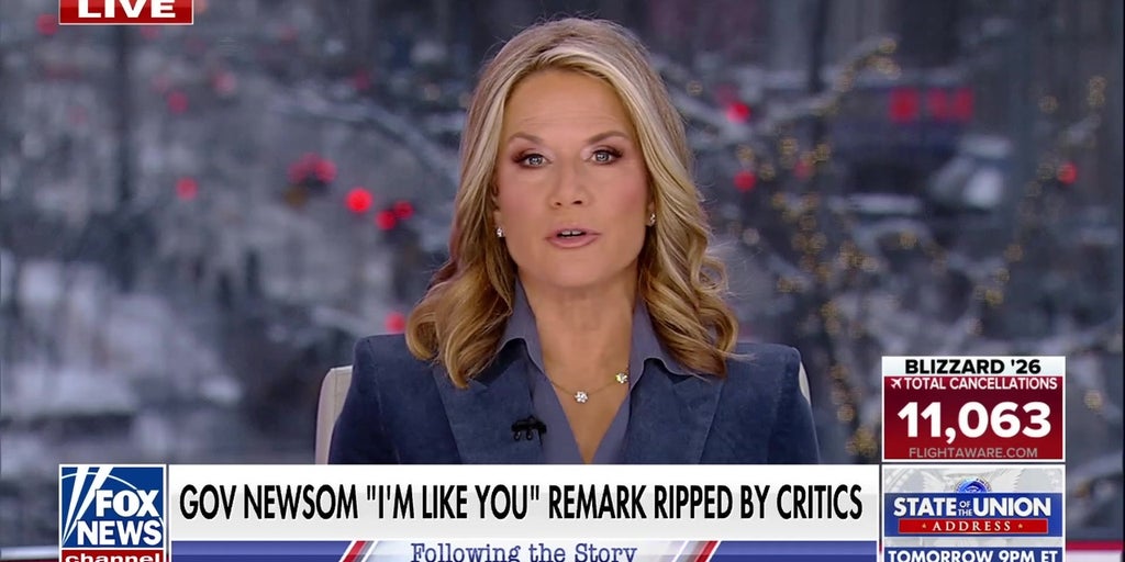 Gavin Newsom's 'I'm like you' remark sparks backlash from critics