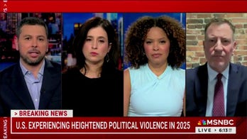 MSNBC anchor asks if lone wolf 'political violence' can be blamed on 'will of the people' being unrepresented