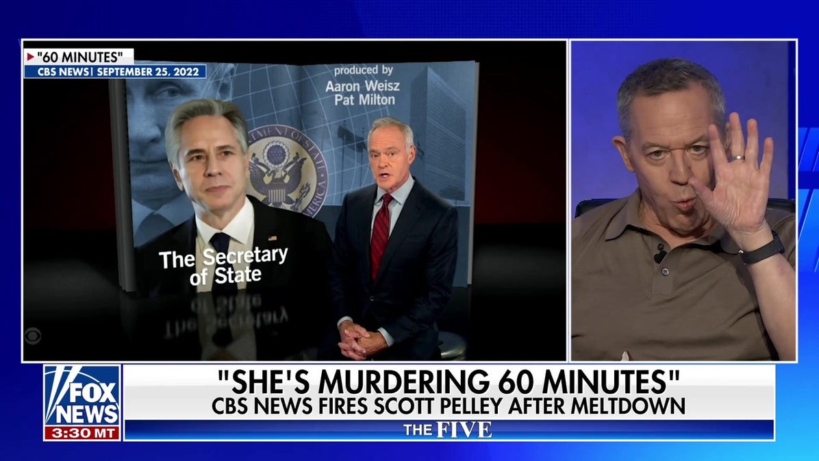Greg Gutfeld: These guys are idiots