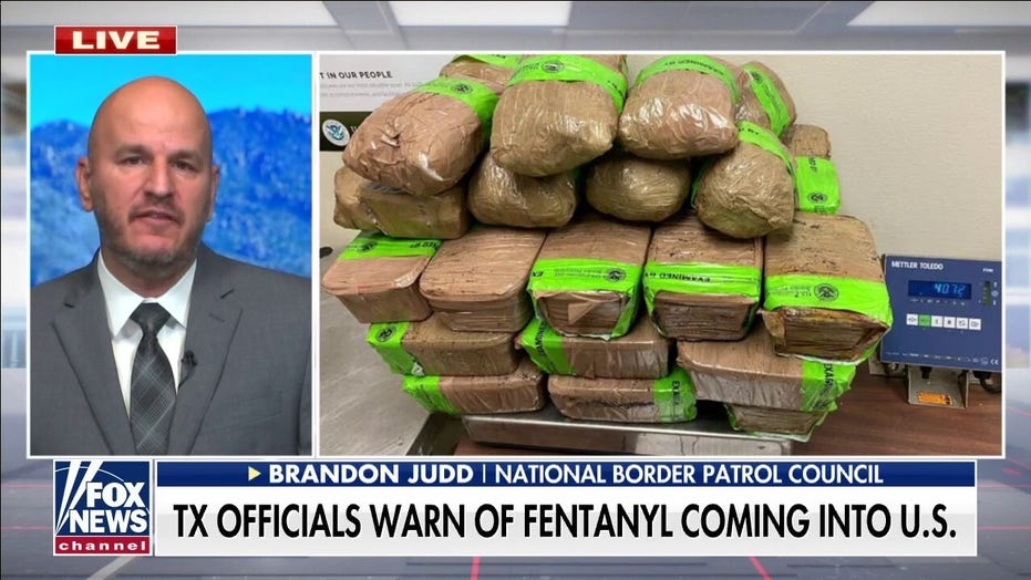 Top border patrol official: Biden more concerned with appeasing base than protecting US citizens