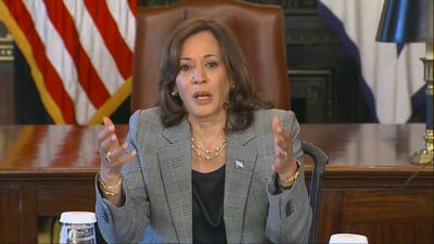 Kamala Harris explains AI: 'Kind of a fancy thing'