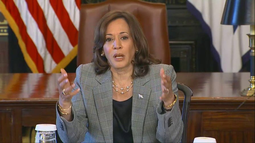 Kamala Harris explains AI: 'Kind of a fancy thing'