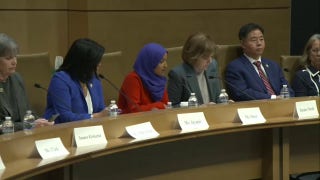 Minnesota Democrats slam Trump administration's immigration enforcement activity