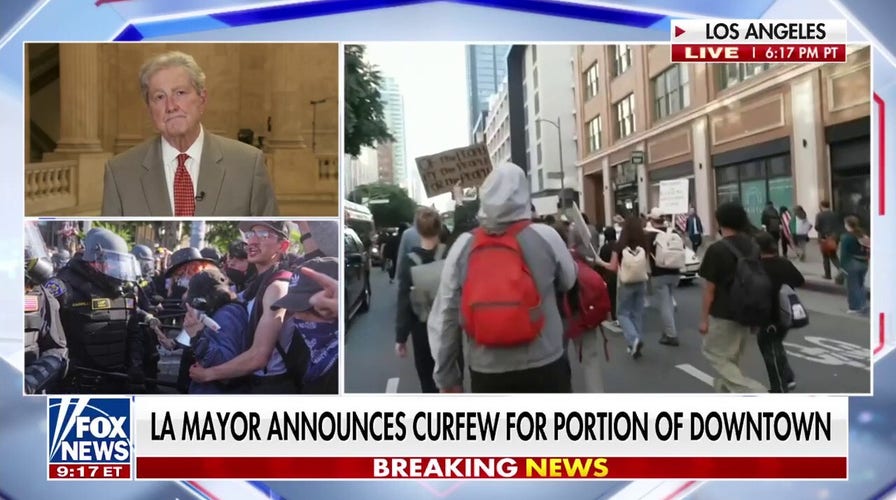 Sen. Kennedy on anti-ICE riots: 'This is why the aliens won't talk to us'