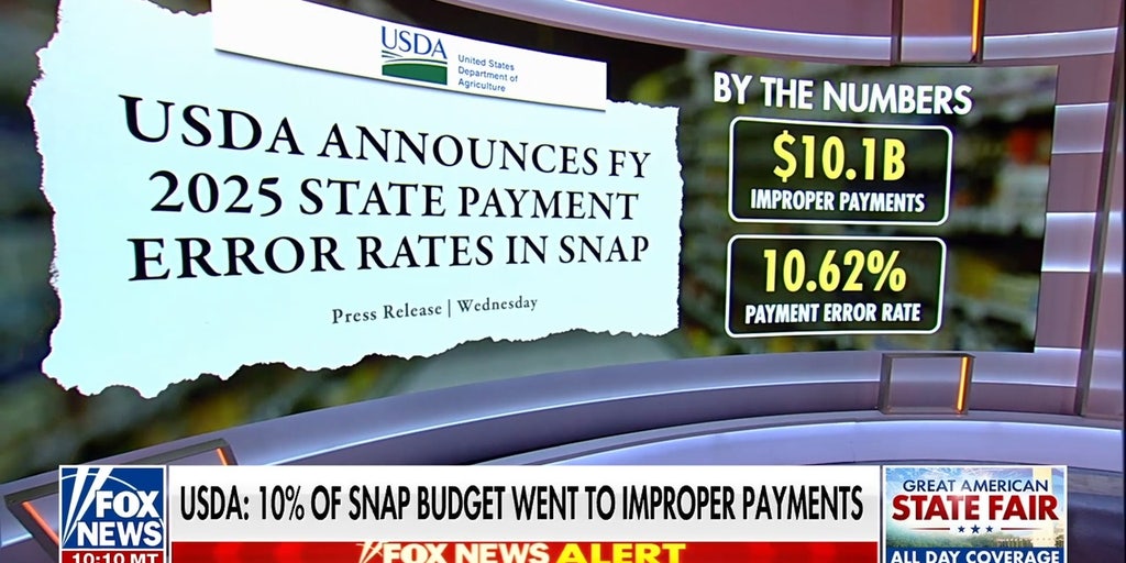 Republicans launch massive government fraud crackdown exposing billions in waste