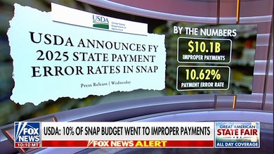 Republicans launch massive government fraud crackdown exposing billions in waste